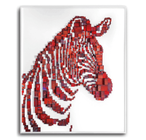 Red Zebra